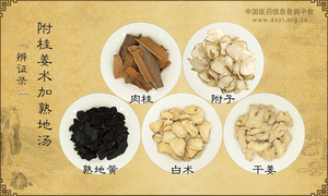 附桂姜术加熟地汤