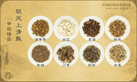 驱风上清散《审视瑶函》