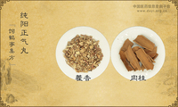 纯阳正气丸《饲鹤亭集方》