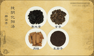 纯阴化阳汤《辨证录》