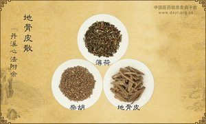 地骨皮散《丹溪心法附余》