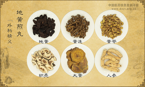 地黄煎丸《外科精义》_地黄煎丸《外科精义》_地黄煎丸《外科精义》的效果作用_地黄煎丸《外科精义》的组成 中国医药信息查询平台