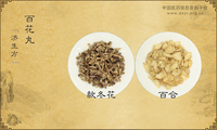 百花丸《济生方》