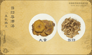 当归导滞汤