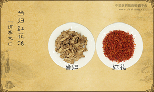 当归红花汤