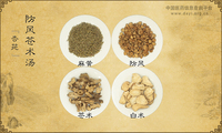 防风苍术汤