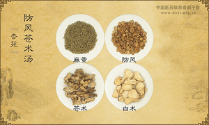 防风苍术汤