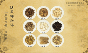 防风冲和汤_防风冲和汤_防风冲和汤的效果作用_防风冲和汤的组成| 中国医药信息查询平台