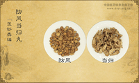 防风当归丸