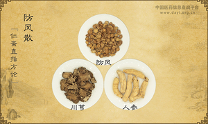 防风散《仁斋直指方论》