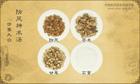 防风神术汤