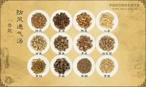 防风通气汤