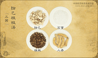 防己桂枝汤