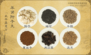 羊肾附子丸《太平圣惠方》