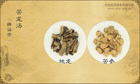 苦龙汤《辨证录》