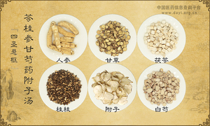 苓桂参甘芍药附子汤