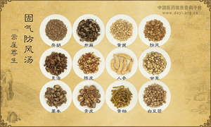 固气防风汤《嵩崖尊生》