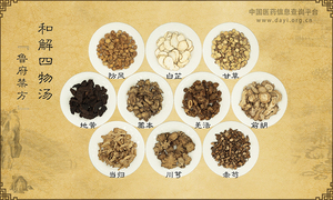 和解四物汤《鲁府禁方》
