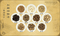 和解四物汤《鲁府禁方》