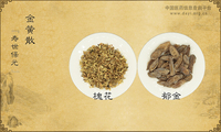 金黄散《寿世保元》
