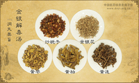 金银解毒汤