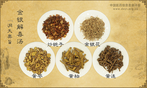 金银解毒汤