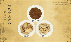 金刚骨丸《御药院方》卷八