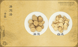 泽泻汤《金匮要略》