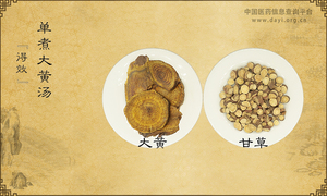 单煮大黄汤《得效》