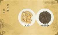 参牛散
