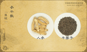 参牛散