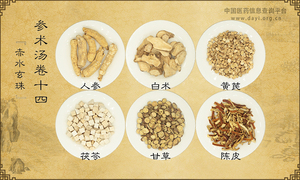 参术汤《赤水玄珠》卷十四