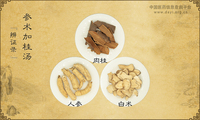 参术加桂汤