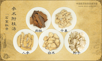 参术附桂汤