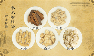 参术附桂汤