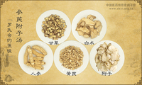 参芪附子汤