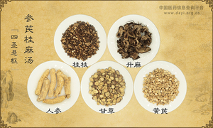 参芪桂麻汤