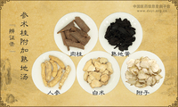 参术桂附加熟地汤