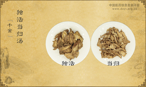 独活当归汤《千金》