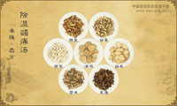 除湿蠲痛汤《准绳·类方》