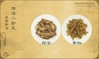 独活二妙丸《症因脉治》