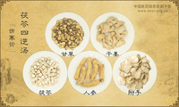茯苓四逆汤