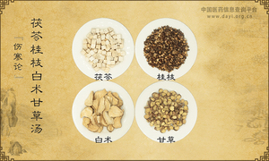 茯苓桂枝白术甘草汤