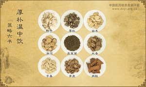 厚朴温中饮
