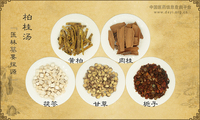 柏桂汤《医林纂要探源》