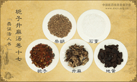 栀子升麻汤《类证活人书》卷十七