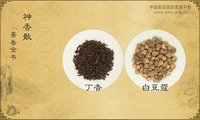 神香散《景岳全书》
