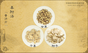 姜附汤《普济方》