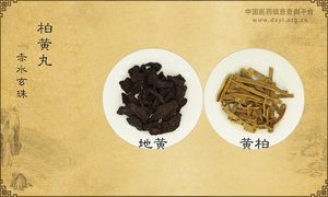 柏黄丸《赤水玄珠》