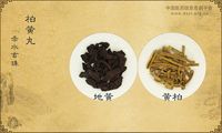 柏黄丸《赤水玄珠》